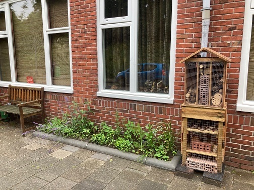 Geveltuin met bijenhotel