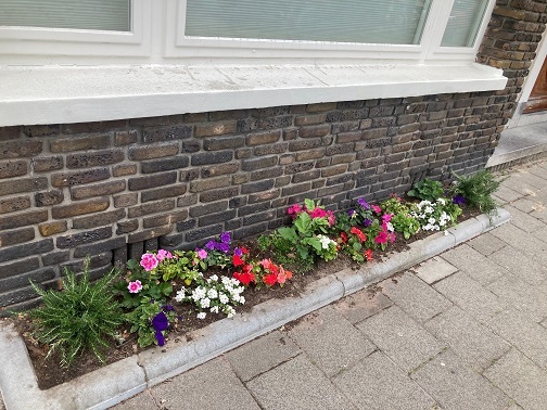 Geveltuin met voorjaarsbloemen