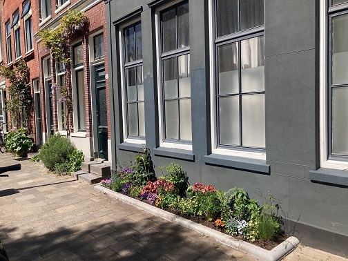 Geveltuin in het voorjaar